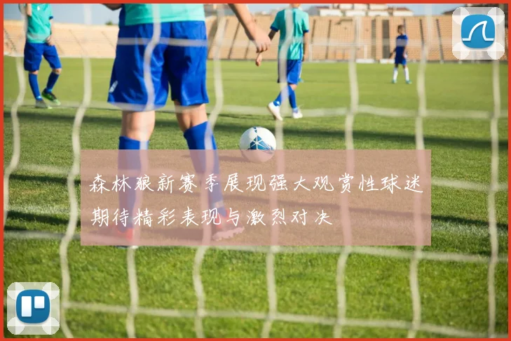 森林狼新赛季展现强大观赏性球迷期待精彩表现与激烈对决